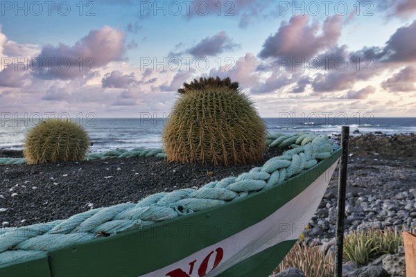 Discarded boat as flower pot, cactus, evening sky by the sea, fish restaurant in El Golfo, Yaiza, Lanzarote, Spain, Europe
