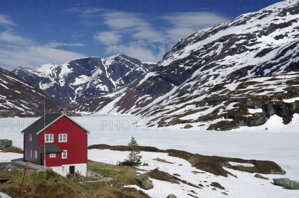 A red house stands isolated in a snow-covered mountain landscape under a clear sky, spring in the mountains, Gaularfjell, Norway, Europe