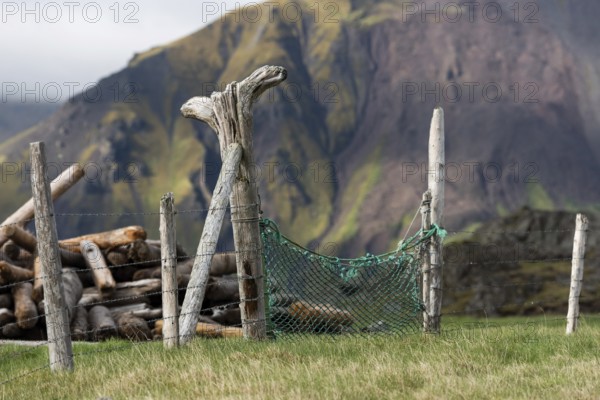 Driftwood fence, Reykjarfjörður, Strandir, Árnes, Westfjords, Iceland, Europe