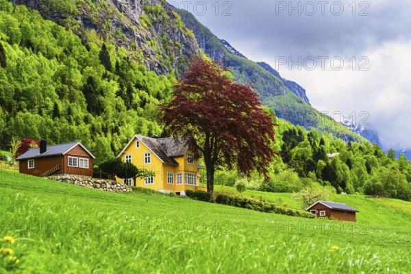 Mountains and Fjord over Norwegian Village, Olden, Innvikfjorden, Norway, Europe