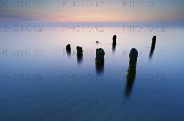 Old posts with algae in the water on the Baltic Sea beach, long exposure at sunset, Fischland-Darß-Zingst peninsula, Western Pomerania Lagoon National Park, Mecklenburg-Western Pomerania, Germany, Europe