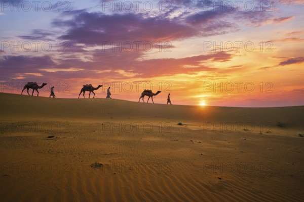 Indian cameleers camel drivers bedouin with camel silhouettes in sand dunes of Thar desert on sunset. Caravan in Rajasthan travel tourism background safari adventure. Jaisalmer, Rajasthan, India, Asia