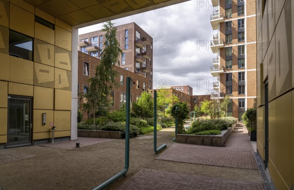 De Groene Kaap residential complex, in the Rotterdam Feijenoord district, on the Maashaven, Katendrecht neighbourhood, 450 flats and shops, spread over 5-19 storey buildings, with many inner courtyards, balconies and an accessible roof garden, partly over bridges, partly as a kitchen garden, which extends over all buildings and can also be used by the public, lots of greenery to promote the microclimate, energy-efficient construction, Netherlands