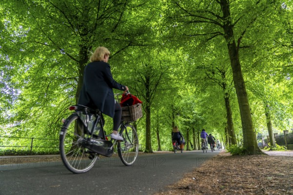 Promenade cycle path, tree-lined, car-free, approximately 4.5 km long ring road around the city centre of Münster, North Rhine-Westphalia, Germany, Europe