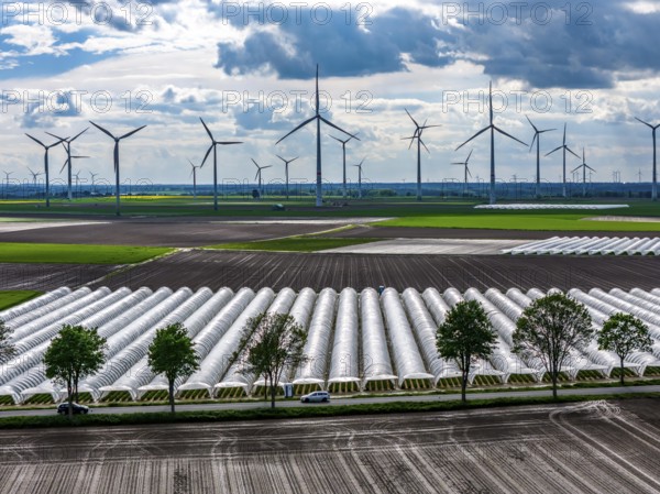 Agriculture, large areas with foil tunnel, for the cultivation of strawberries, freshly cultivated fields, wind farm, south of Lövenich, belongs to Erkelenz, in the district of Heinsberg