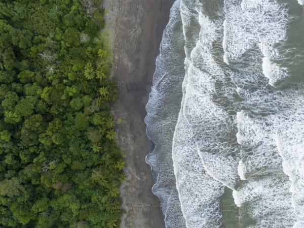 Top-down, aerial view, beach and sea, coast with rainforest, Tortuguero National Park, Costa Rica, Central America