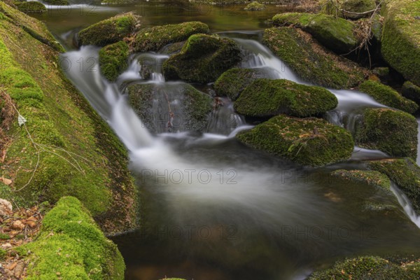 Kleine Ohe creek below Waldhaeuser village in the Bavarian Forest Nationalpark. Flowing water, little cascades, mossy stones and fresh green vegetation