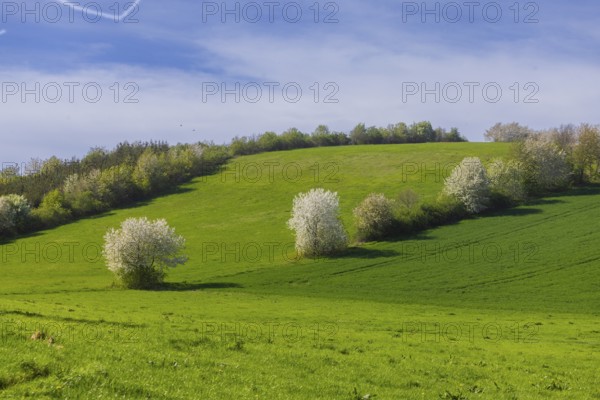 Fields near Karsdorf, Quoren and Possendorf, Karsdorf, Saxony, Germany, Europe