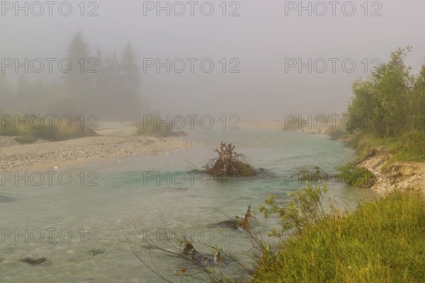 Isar valley nature conservancy area. The wild Isar river flows through its gravel bed past driftwood and entrained trees and bushes . Early morning with dense fog