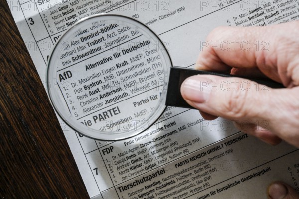 Afd, candidates Maximilian Krah and Petr Bystron, ballot paper, ballot paper for the 2024 European elections in Germany