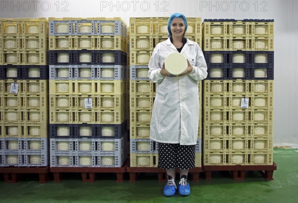 Castilian woman showing a typical Zamora cheese in a cheese factory, cheese stacked in boxes in the back, Fuentesaúco, Zamora province, Castilla y Leon, Spain, Europe