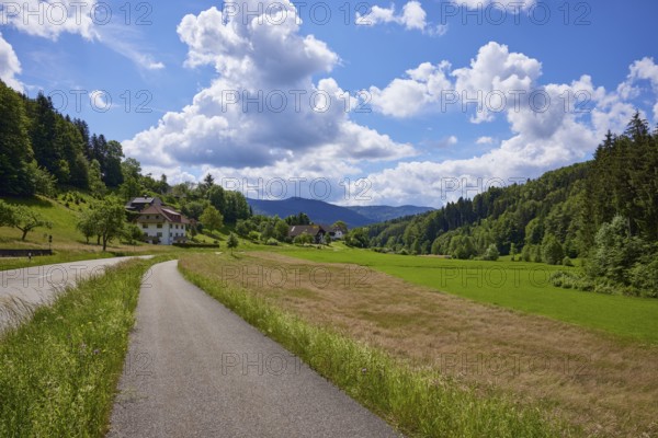 Cycle path, country road and blue sky with cumulus clouds in slight backlight in a landscape near Biederbach, Black Forest, Emmendingen district, Baden-Württemberg, Germany, Europe