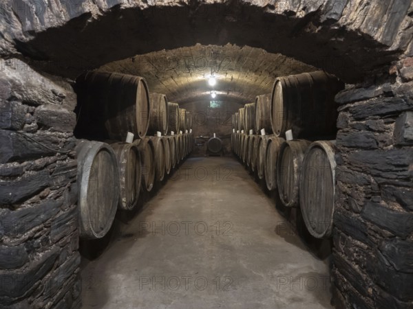 Oak wine barrels in the cellar of a winery, wine cellar, Bernkastel-Kues, Moselle, Rhineland-Palatinate