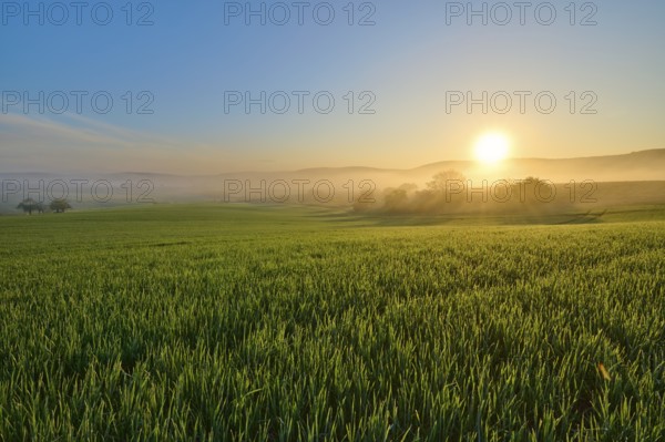 A picturesque sunrise over a wide green field and a gentle hilly landscape, Mönchberg, Mltenberg, Spessart, Bavaria, Germany, Europe