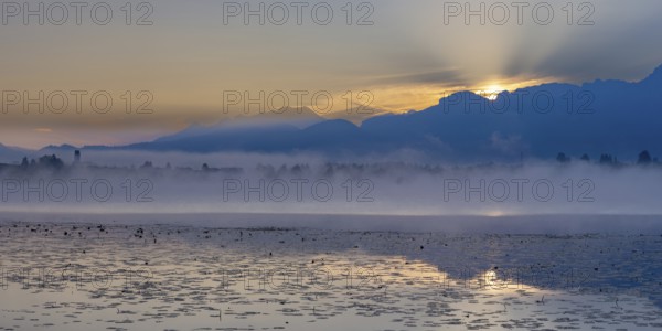Sunrise at Lake Hopfensee near Füssen, behind Hopfen am See, the Tegelberg massif and the Säuling, Ostallgäu, Allgäu, Upper Swabia, Swabia, Bavaria, Germany, Europe