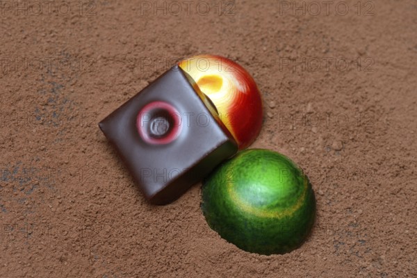 Colourful chocolates on cocoa powder