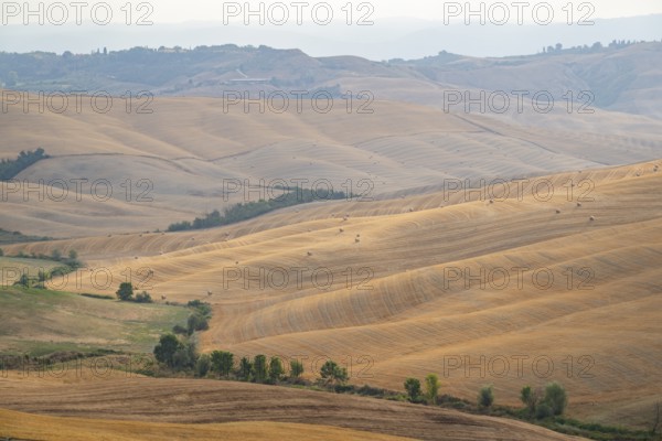 Straw bales on a harvested grain field in a typical Tuscan landscape in Crete Senesi with hills, trees, fields and cypresses in summer, Tuscany, Italy, Europe