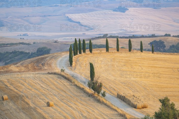 Typical Tuscan landscape in Val d'Orcia with hills, trees, fields, cypresses and farm road in autumn, sunset, gladiator film location, San Quirico d'Orcia, Val d'Orcia, Orcia Valley, UNESCO World Heritage Site, Siena Province, Tuscany, Italy, Europe