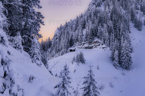 Sunrise snow tour on the Tegelberg in the Allgäu in Bavaria. Winter Wonder Land, Germany, Europe