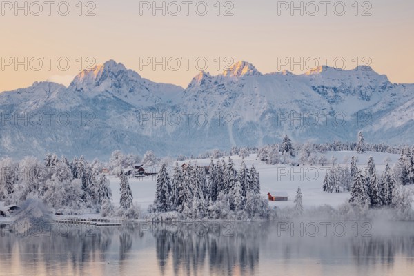 Dawn and sunrise at the wintry Forggensee in a snow-covered winter landscape in the foothills of the Alps in the Allgäu in Bavaria, Germany, Europe