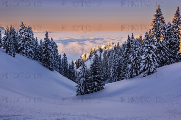Sunrise snow tour on the Tegelberg in the Allgäu in Bavaria. Winter Wonder Land, Germany, Europe