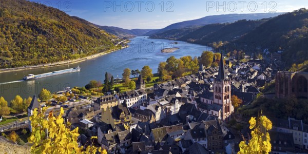 Autumn view of Bacharach on the Rhine with St. Peter's Church, UNESCO World Heritage Upper Middle Rhine Valley, Rhineland-Palatinate, Germany, Europe