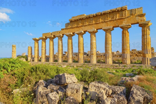 Temple of Apollo or Temple C, Selinunte Archaeological Park, Selinunte, Trapani district, Sicily, Italy, Europe