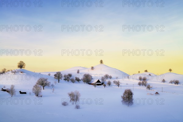 Snow-covered hilly landscape at sunrise, Menzingen, Canton Zug, Switzerland, Europe