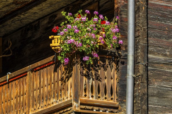 Balcony decorated with flowers, old wooden house, historic village centre, Grimentz, Val d'Anniviers, Valais Alps, Canton Valais, Switzerland, Europe