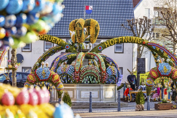 The Easter fountain in Schechingen has around 13, 000 hand-painted eggs. This makes it one of the largest and most beautiful in the whole of East Württemberg. Around 50, 000 visitors admire the decorated village fountain every year. Schechingen, Ostalbkreis, Baden-Württemberg, Germany, Europe