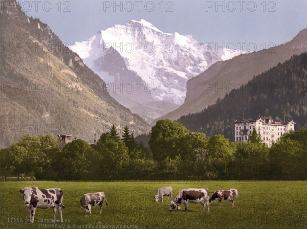 Jungfrau und Jungfraublick Hotel, Bernese Hotel, Switzerland, Historic, digitally restored reproduction from a 19th century original, Record date not stated, Jungfrau and Jungfraublick Hotel, Bernese Hotel, Switzerland, Historic, digitally restored reproduction from a 19th century original, Record date not stated, Europe