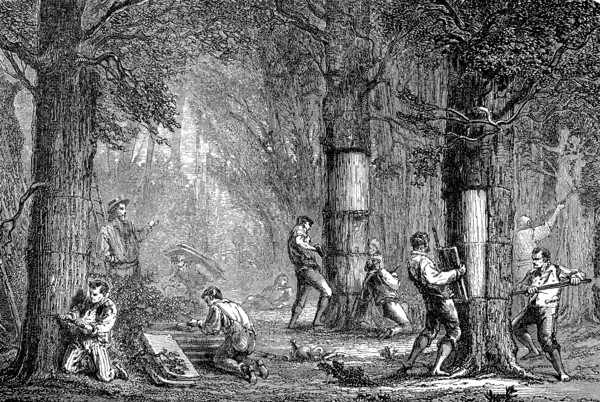 The peeling of the cork oak in Algeria, in 1880, Historical, digital reproduction of an original from the 19th century