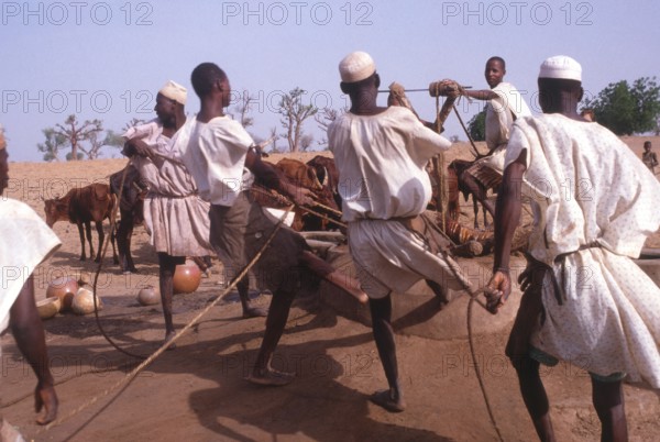 Life in the Sahel region of northern Nigeria, west Africa, early 1980s - men drawing water from a well