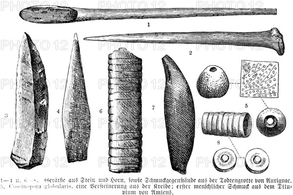 Archaeological finds from the Grotte d'Aurignac, Département Haute-Garonne, tools made of stone and animal horn, fossils from the Cretaceous period, jewellery from the Diluvium, history of mankind, France, historical illustration1880, Europe