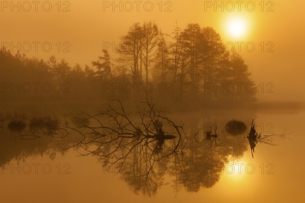Mystical landscape with reflecting water and sunset atmosphere, Schwenninger moss, Villingen-Schwenningen, Black Forest-Baarkreis, Baden-Württemberg, Germany, Europe