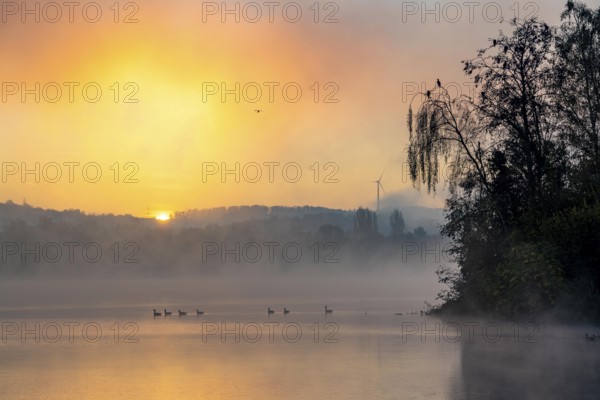 Sunrise, autumnal atmosphere at Lake Baldeney, near Haus Scheppen, in Essen, North Rhine-Westphalia, Germany, Europe