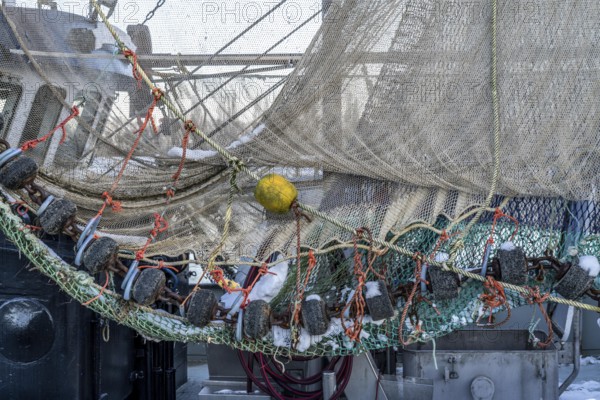 The fishing village of Greetsiel, historic fishing harbour, with the largest shrimp cutter fleet in East Frisia, fishing nets, fishing nets, winter, Lower Saxony, Germany, Europe
