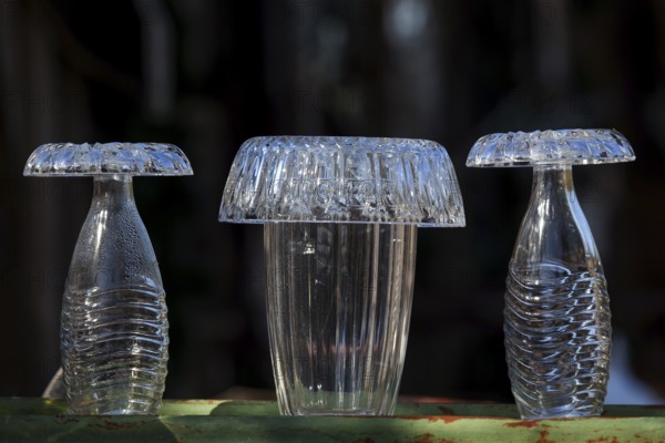 Glass container, covered with glass bowls, Oberallgäu, Allgäu, Bavaria, Germany, Europe