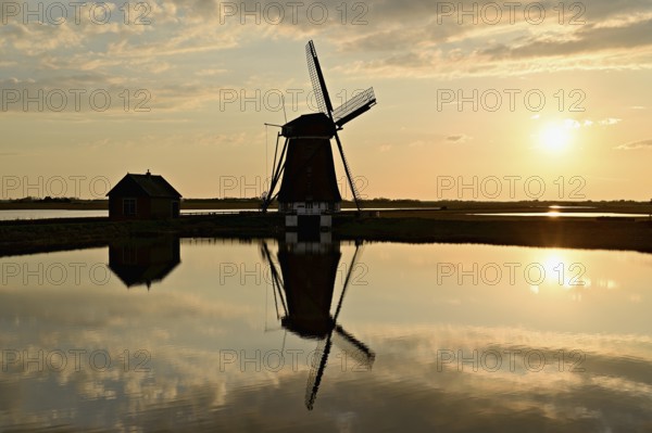 Historic windmill in the light of the setting sun, De Traanroeier, Het Noorden Molen, Texel, North Holland, Netherlands