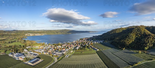 Aerial view, panorama of the village of Bodman on the shore of Lake Überlingen, the northwestern part of Lake Constance, on the left the Stockach Aach estuary in autumn vegetation, on the right the Bodanrück, Lake Constance, Bodman-Ludwigshafen, district of Constance, Baden-Württemberg, Germany, Europe