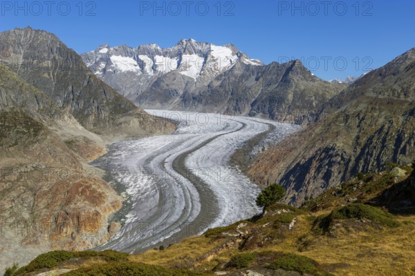 Aletsch glacier, glacier tongue, panorama, climate change, decline, global warming, ice, global climate, tourism, Aletsch Arena, Valais, Switzerland, Europe
