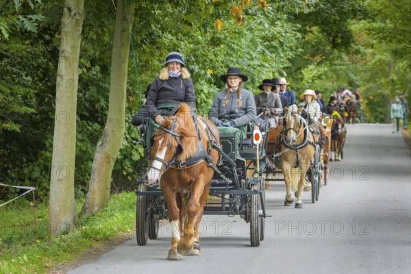 Presentation and route ride, all carriages in stylish tension, popular sporting event over approx. 30 km. An event organised by Reit- und Fahrverein Moritzburg e.V., 29th Moritzburger Teichrundfahrt, Moritzburg, Saxony, Germany, Europe