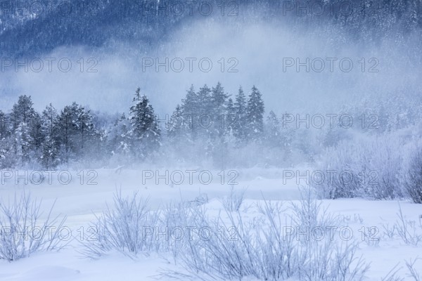 Isar valley in winter at temperatures of minus 18 degrees Celsius. Snow covered landscape with the Isar river flowing through. Some hoar frosted trees. Early morning at sunrise