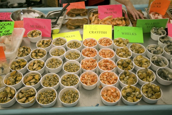 Fishmonger display of varieties of shellfish on ice sale