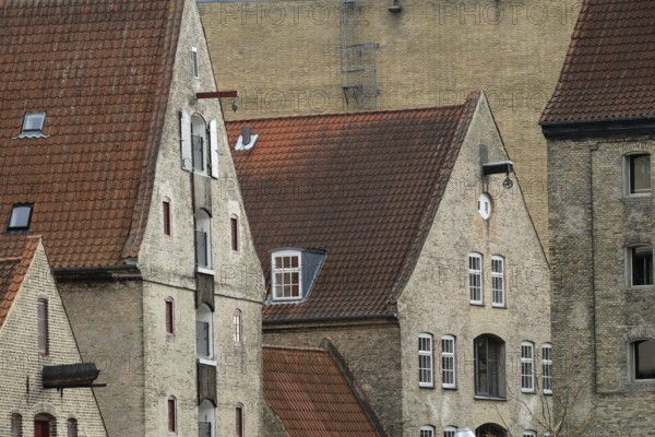 Old warehouses and cultural centre The Arctic House or Det Arktische Hus, Christianshavn district, Copenhagen, Denmark, Europe