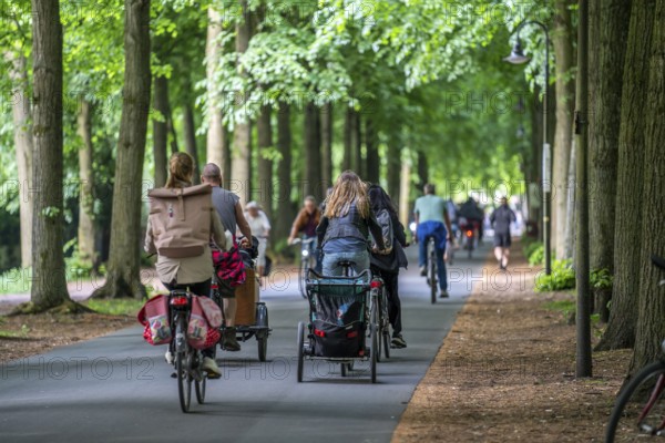 Promenade cycle path, tree-lined, car-free, approximately 4.5 km long ring road around the city centre of Münster, North Rhine-Westphalia, Germany, Europe
