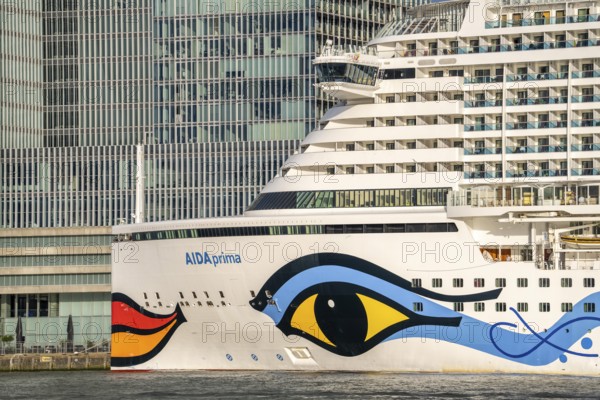 Rotterdam, skyline at the Nieuwe Maas, skyscrapers at the Kop van Zuid district, cruise ship Aida Prima at the Cruise Terminal, Netherlands