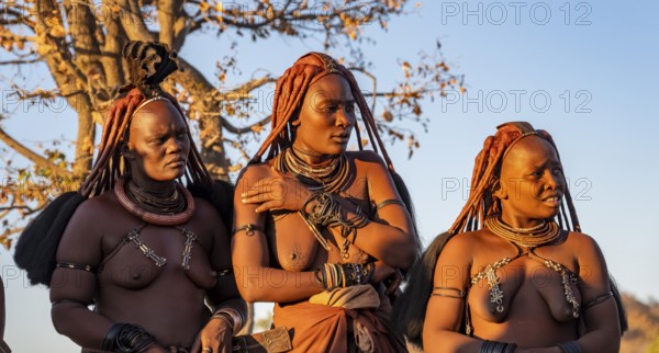 Three traditional Himba woman, portraits, in the evening light, near Opuwo, Kaokoveld, Kunene, Namibia, Africa