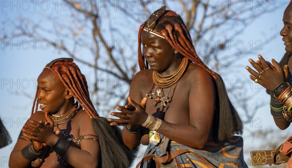 Traditional Himba woman clapping, music and dance, portraits, in the evening light, near Opuwo, Kaokoveld, Kunene, Namibia, Africa