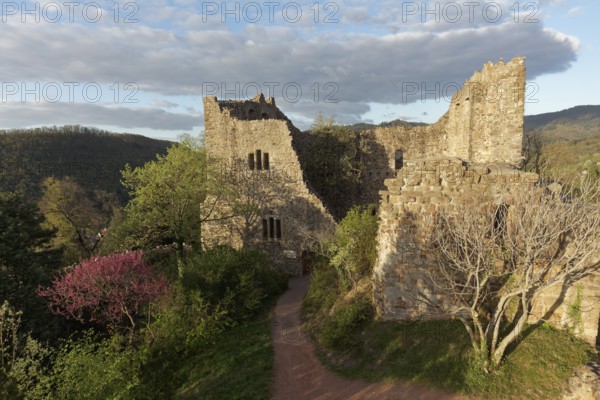 Baden Castle, castle ruins in the evening light, Badenweiler, Markgräflerland, Schwazwald, Baden-Württemberg, Germany, Europe